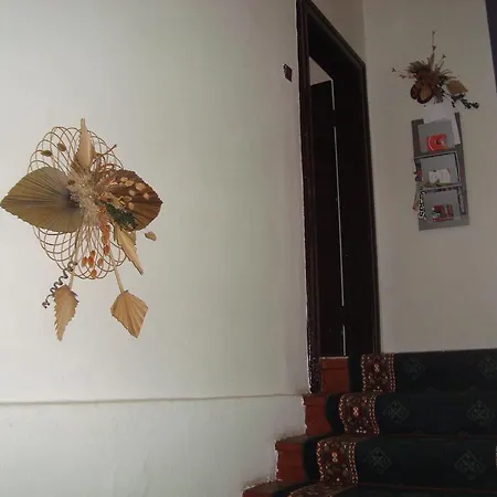 ゲストハウス Adria