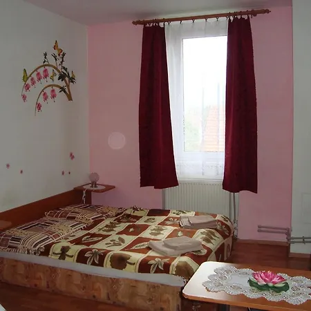 Adria ゲストハウス Turčianske Teplice